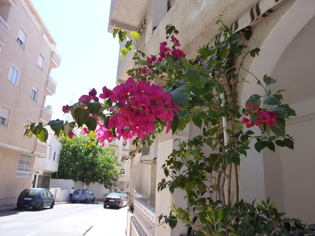 The cozy apartment Torrevieja Zewnętrze zdjęcie